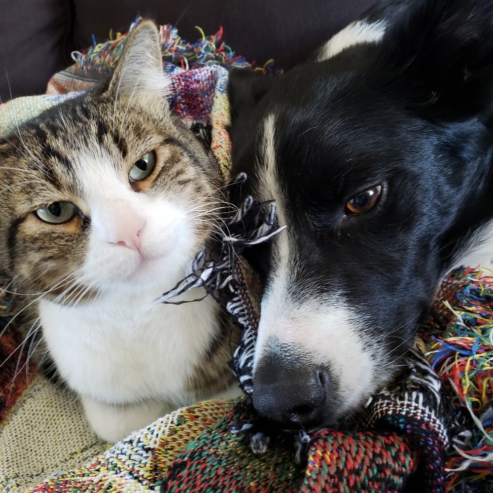 Meet your Posher, Courtney